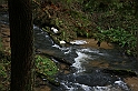 Rostoczek 11.2008 123